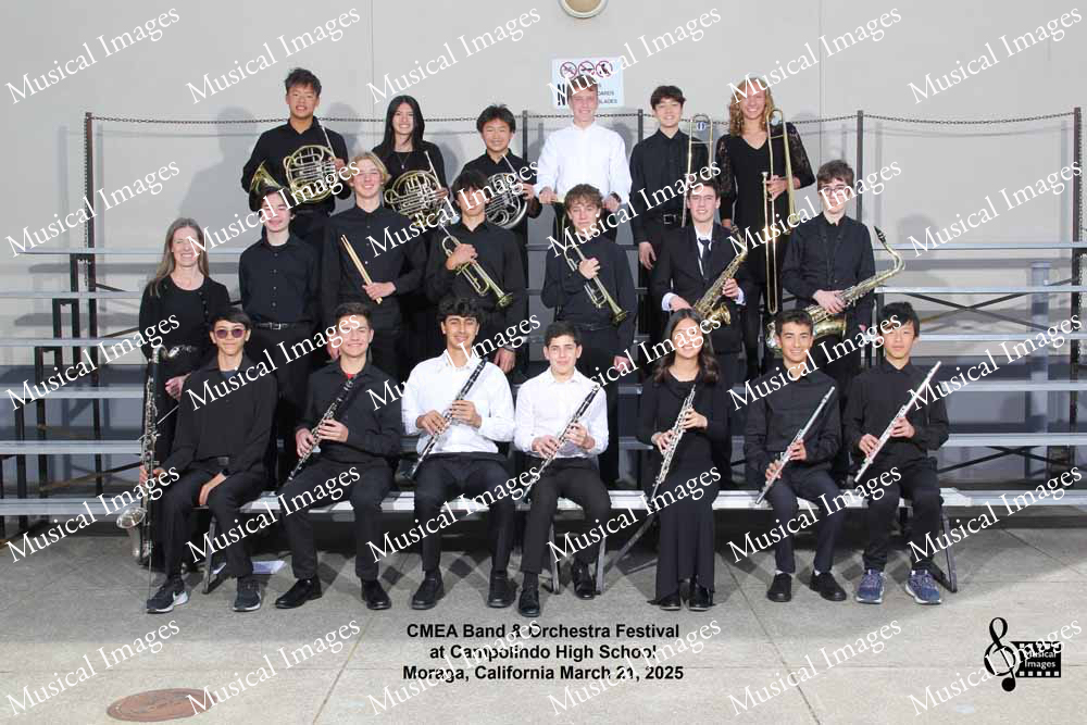 Musical Images